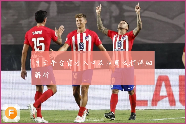 开云平台官方入口及注册流程详细解析